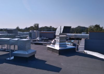 DSC_0049 (Kopiowanie)