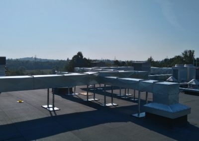 DSC_0050 (Kopiowanie)