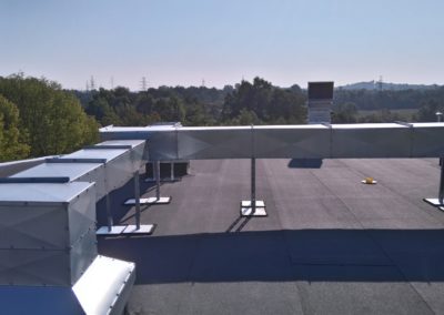 DSC_0051 (Kopiowanie)