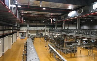 Kellogg’s Napoleon